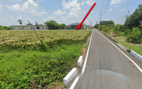 柳營區旭山里一般農地、土地完整，近國道3號