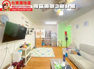 台東房地產 / 市區美景3房公寓