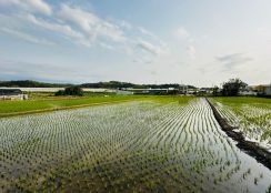 頭份雙面臨路甲種工業地