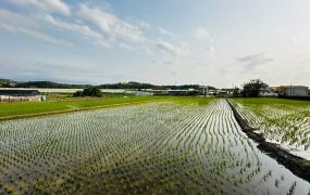 頭份雙面臨路甲種工業地