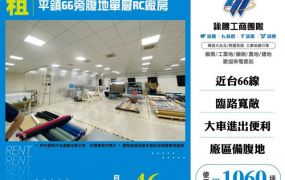 平鎮66旁腹地單層RC廠房157