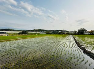 頭份雙面臨路甲種工業地