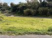 新竹縣新埔鎮一般農業區臨路平坦農地