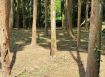 新竹縣北埔水岸野溪露營地