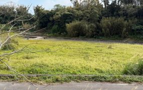 新竹縣新埔鎮一般農業區臨路平坦農地