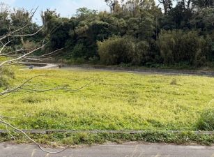 新竹縣新埔鎮一般農業區臨路平坦農地