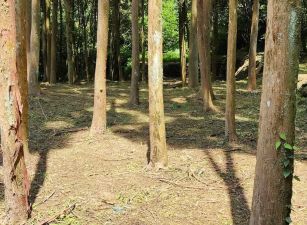 新竹縣北埔水岸野溪露營地