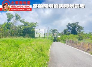 台東房地產 / 都蘭環境優美海景農地