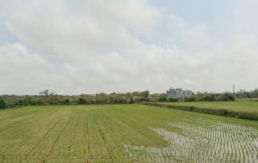 近66快速路觀音甲建