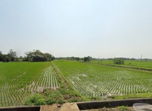 新豐漂亮方正甲建(10萬/坪)