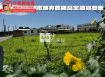 台東房地產 / 市區有農機具室美農地