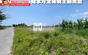 台東房地產 / 開發隊方正免填土農地