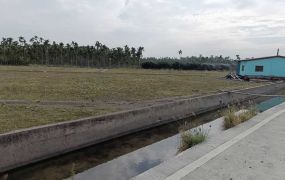 屏東大地坪有水有電+合法制材室