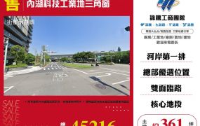 ✨內湖科技工業地三角窗☎️