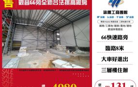 ✨觀音66旁全新合法挑高廠房☎️