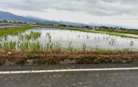 三星尚義北段雙面路足坪農地