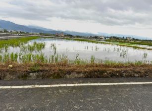 三星尚義北段雙面路足坪農地