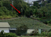 大樹區井腳里一般農地，土地完整，價格便宜