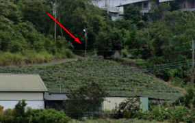 大樹區井腳里一般農地，土地完整，價格便宜
