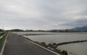 永慶許書豪★砂港省道旁漂亮便宜農地