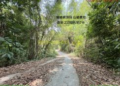 龍崎7分崎頂段便宜山坡農地