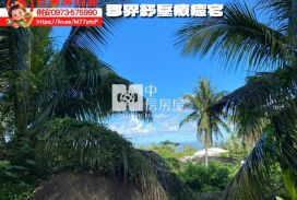 台東房地產 / 郡界紓壓療癒宅