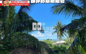 台東房地產 / 郡界紓壓療癒宅