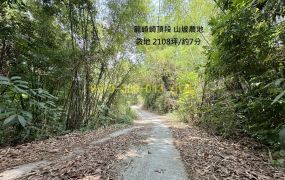 龍崎7分崎頂段便宜山坡農地