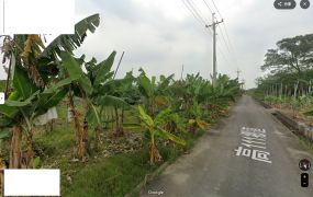 旗山五龍山鳳山寺旁4.92分農地