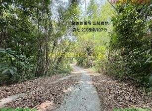 龍崎7分崎頂段便宜山坡農地