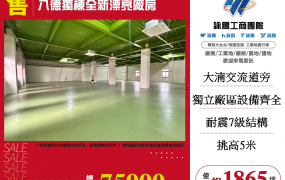 八德獨棟全新漂亮廠房