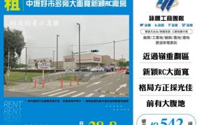 中壢好市多旁大面寬新穎RC廠房155