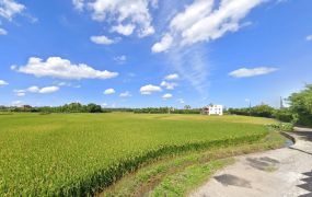 近A19站大面寬甲建