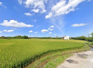近A19站大面寬甲建