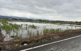 永慶許書豪★三星尚義北段雙面路452農地
