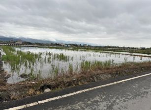 永慶許書豪★三星尚義北段雙面路452農地