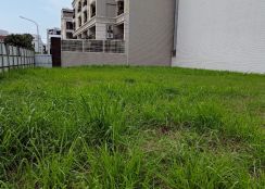 土地珠寶專才~📣【仁武雙面臨路建地】澄清湖特定區~建商首選三角窗角地，稀有釋出！