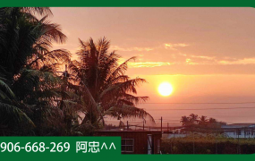 美濃農舍｜湖畔夕陽美景｜627坪大地坪｜70坪農舍｜1297萬｜高雄美濃不動產推薦