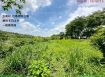 玉井噍吧哖公園旁休閒農地
