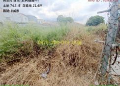 高雄阿蓮國中方正建地