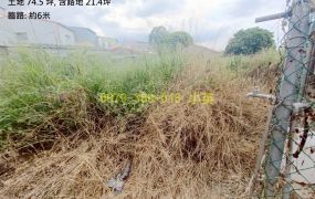 高雄阿蓮國中方正建地