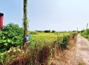 屋主因為個人規劃，忍痛割愛【鄰東港農舍農地9.89分】每分200萬。請盡快聯賣，隨時會成交！