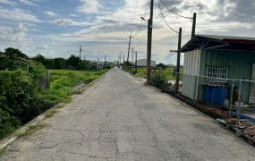 水上擴大都市計劃案農地B1377
