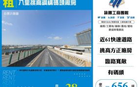 八里挑高鋼構碼頭廠房156