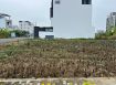 湖子內二期商業建地-B1306