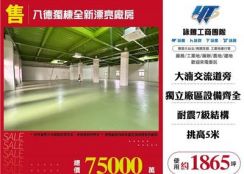 八德獨棟全新漂亮廠房