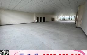 林口交流道旁挑高廠房(可依法廠登)/工業地廠房買賣租賃