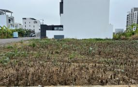湖子內二期商業建地-B1306