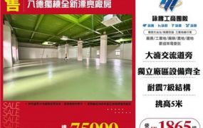八德獨棟全新漂亮廠房