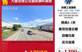 大園圳頭交流道新穎RC廠房